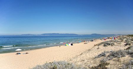 Kilka ładunków wybuchowych na europejskich plażach. Interweniowali saperzy