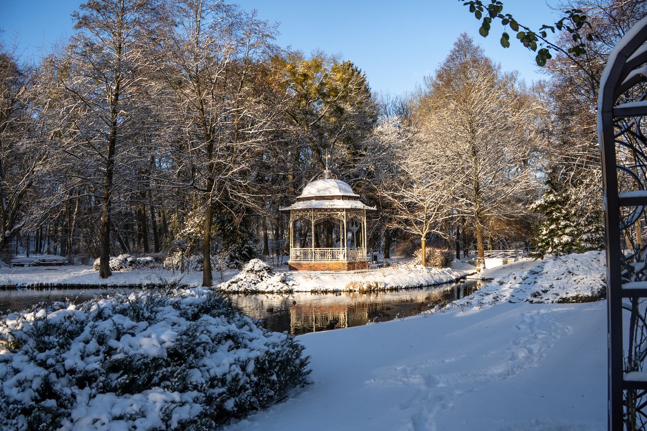 Park Miejski Piła, zima, śnieg, styczeń 2026