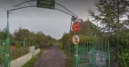 Ludzkie szczątki na ogrodach działkowych na Pomorzanach. To ofiary ostatniej wojny?