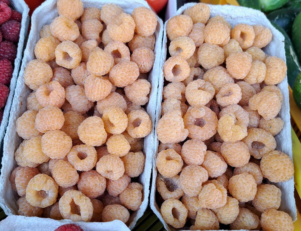 Yellow raspberries are increasingly appearing at market stalls.