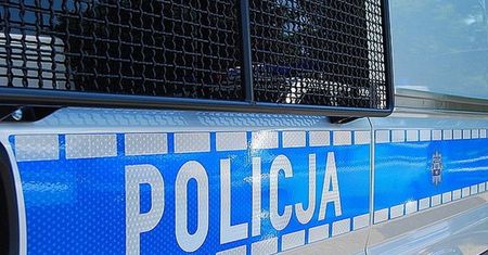 Lubelskie. Usłyszał zarzuty znęcania się nad psem. Bił go kijem od szczotki