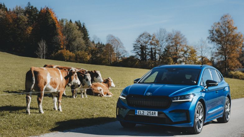 Skoda Enyaq iV pokazuje biznesową drogę czeskiej marki. I sporo mówi o przyszłości branży samochodów elektrycznych