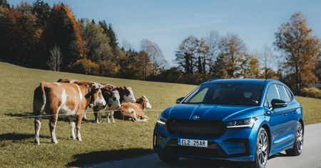 Skoda Enyaq iV pokazuje biznesową drogę czeskiej marki. I sporo mówi o przyszłości branży samochodów elektrycznych