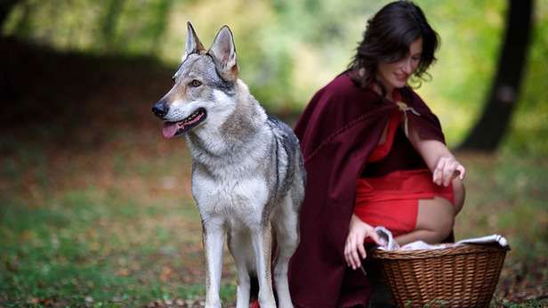 Najsłynniejsze internetowe prowokacje, żarty i oszustwa 1