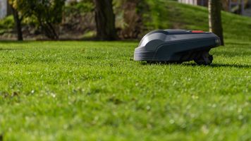 Koniec z ręcznym koszeniem – TOP roboty koszące do każdego ogrodu