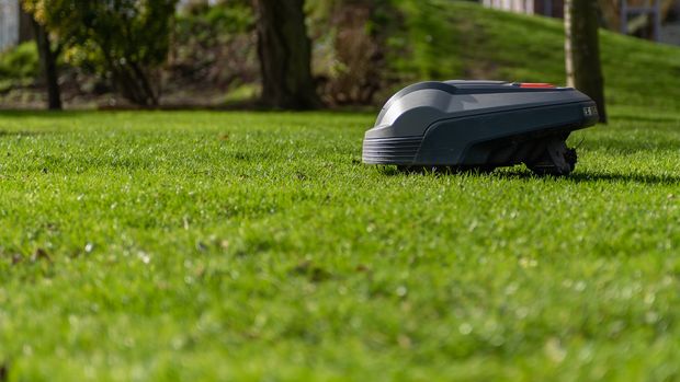 Koniec z ręcznym koszeniem – TOP roboty koszące do każdego ogrodu