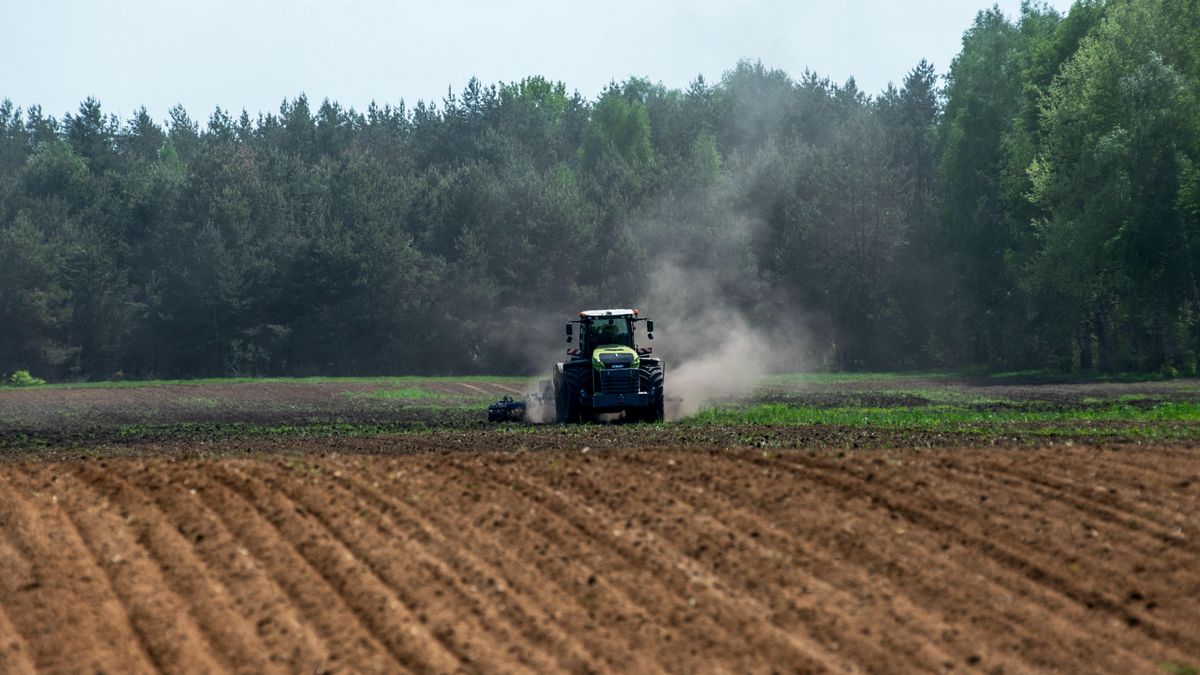 prace polowe
Narew, woj. podlaskie, 3.05.2024. Prace polowe przy pomocy ci�gnika rolniczego, kt�ry podnosi tumany kurzu spowodowane brakiem opad�w. (mz/awol) PAP/Micha� Zieli�ski
Micha� Zieli�ski
Narew, Podlasie, brak opad�w, ci�gnik rolniczy, kurz, kurzy si�, las, maszyna rolnicza, na Podlasiu, pole, prace polowe, prace rolnicze, prowincja, py�, rolnictwo, rolnik na polu, sucho na polach, sucho na polu, traktor, traktor podnosi kurz, uprawa rolnicza, wiosenna susza, ziemia rolna