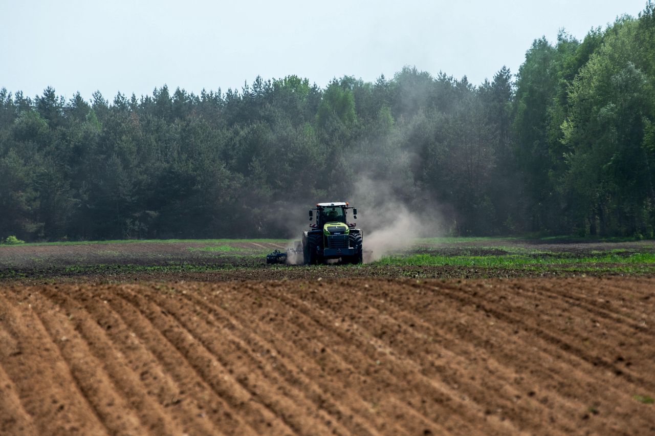 Rolnicy wciąż czekają na umowę UE-Mercosur. Co stoi na przeszkodzie? Zdj. ilustracyjne