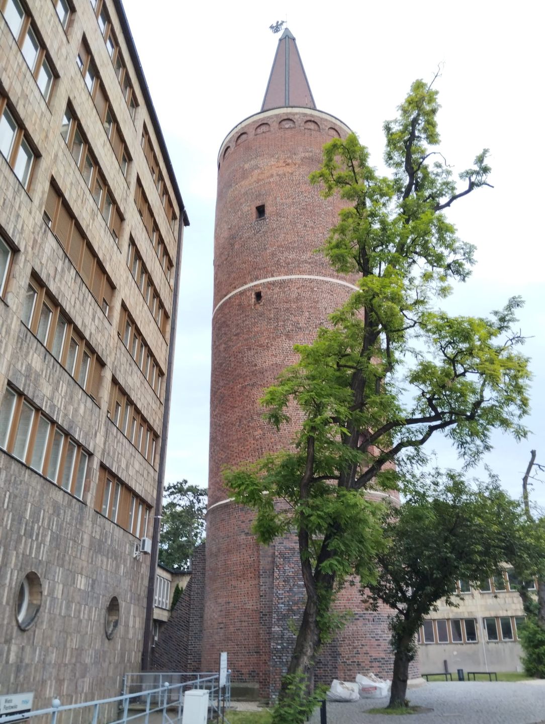 Wieżą Piastowska - tylko tyle pozostało po dawnym zamku. Wnętrza można zwiedzać