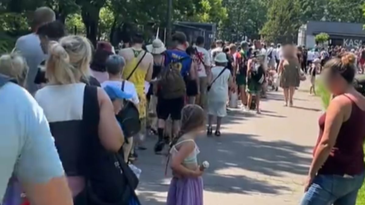 Nagranie z Poznania obiega sieć.