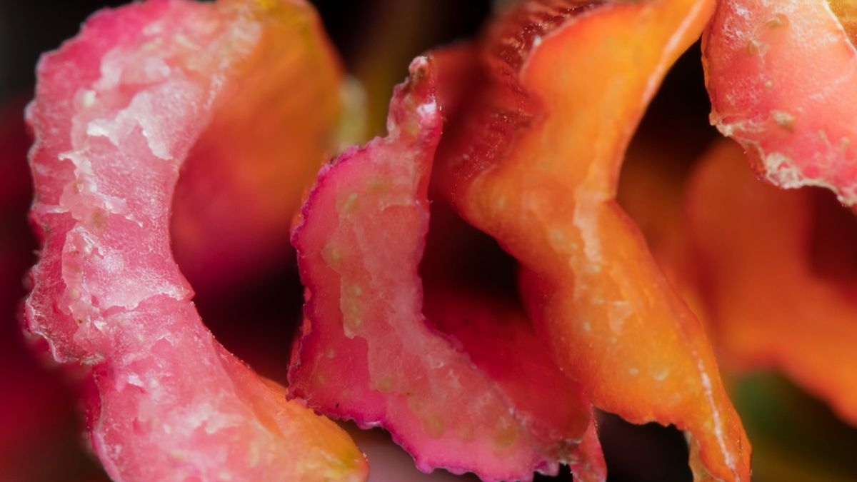 Rabarbar lekiem na raka?