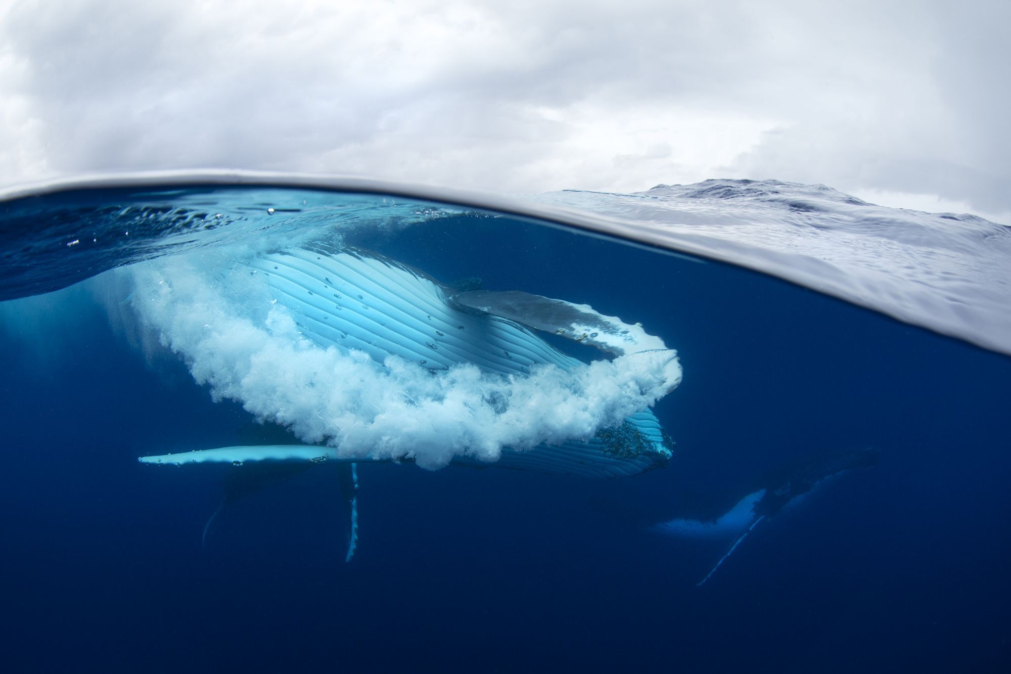 Mistrzowskie fotografie plenerowe w konkursie Outdoor Photographer of the Year 2014 5