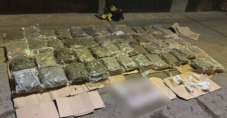 Krakowska policja rozbiła narkotykowy biznes w Bronowicach – zabezpieczono 115 kg środków odurzających
