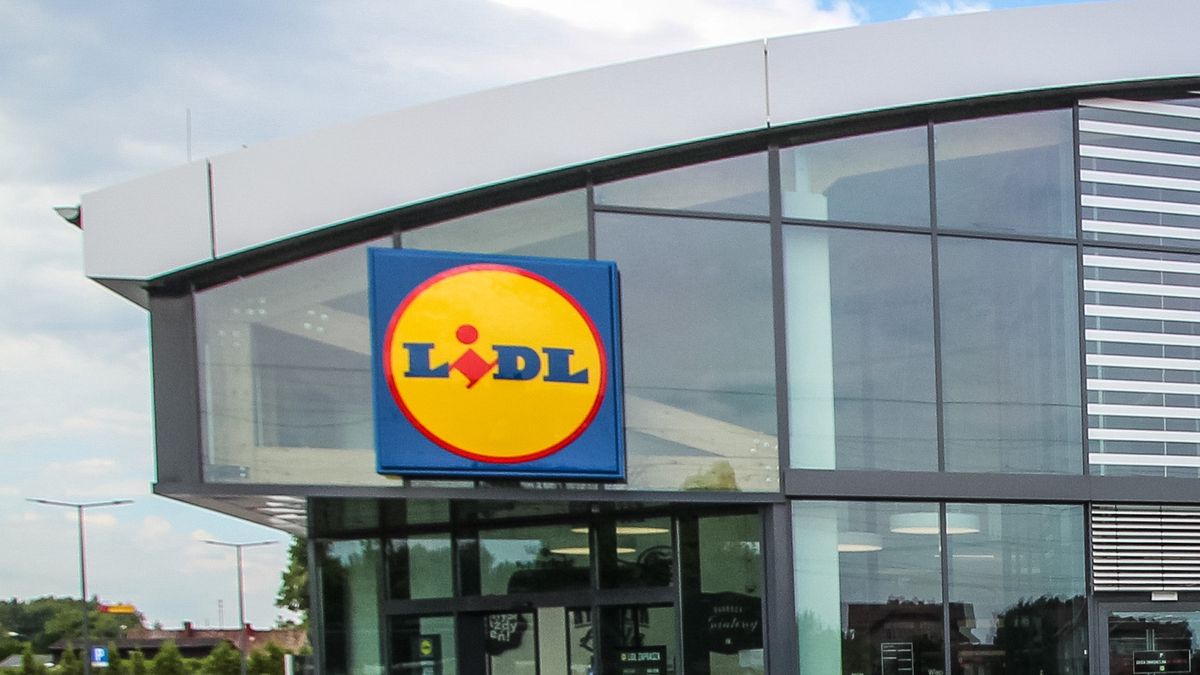Jakie promocje obowiązują w Lidlu od 11 sierpnia? 