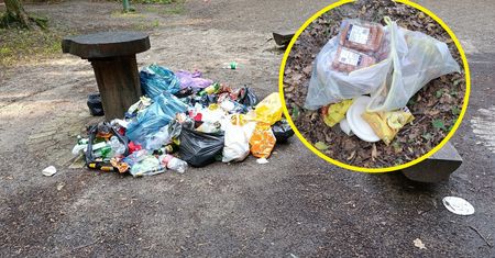 Straż leśna pokazała zdjęcia. Zobaczcie, co było w workach