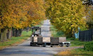 Polscy sadownicy liczą na Ukrainę. Rośnie cena polskiego przysmaku