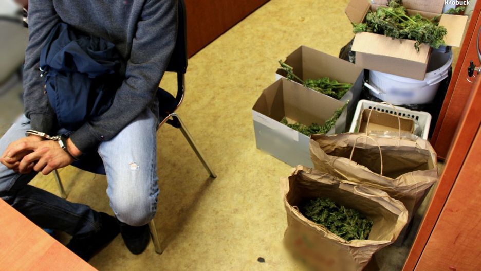 Śląskie. Blisko 2 kg marihuany znaleźli policjanci u 24-latka.  
