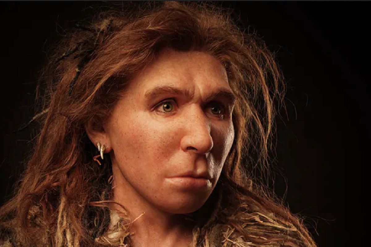 Polska: Odnaleziono najstarsze środkowoeuropejskie szczątki neandertalczyków - Neandertalczyk
