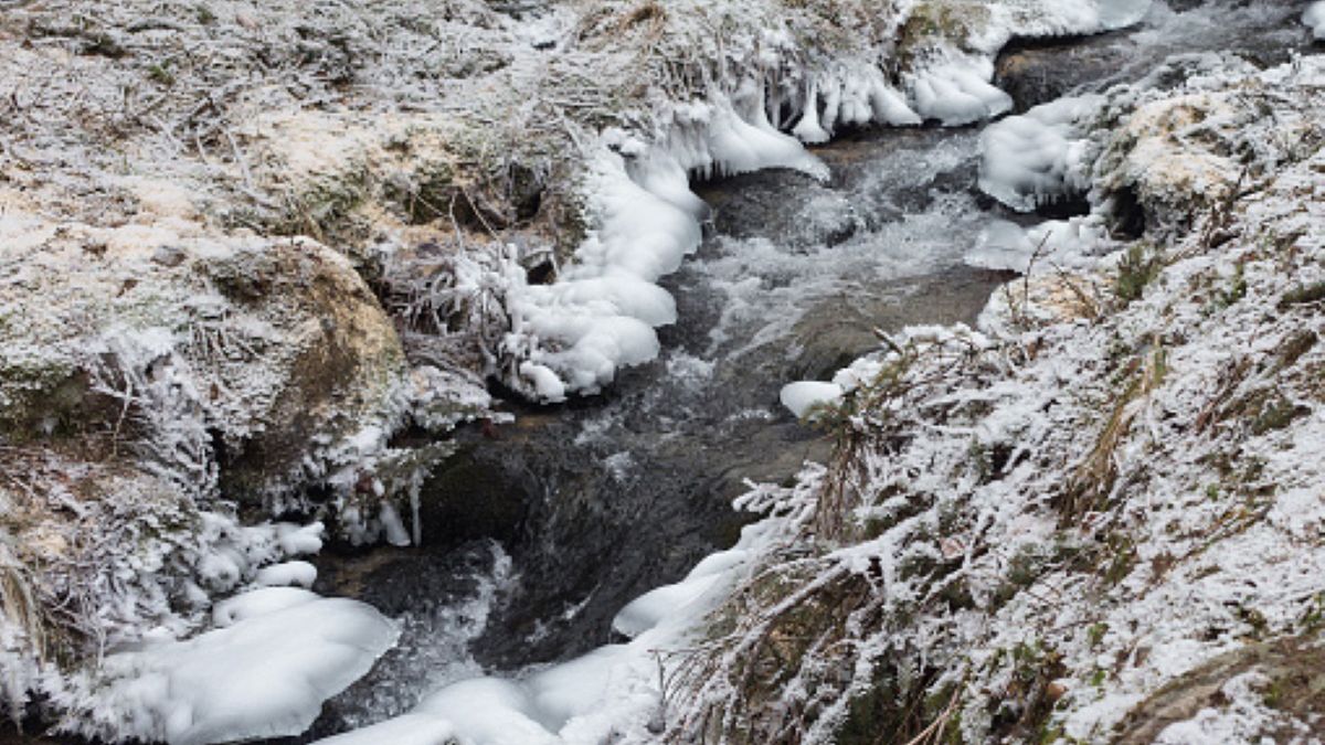 Zdjęcie ilustracyjne