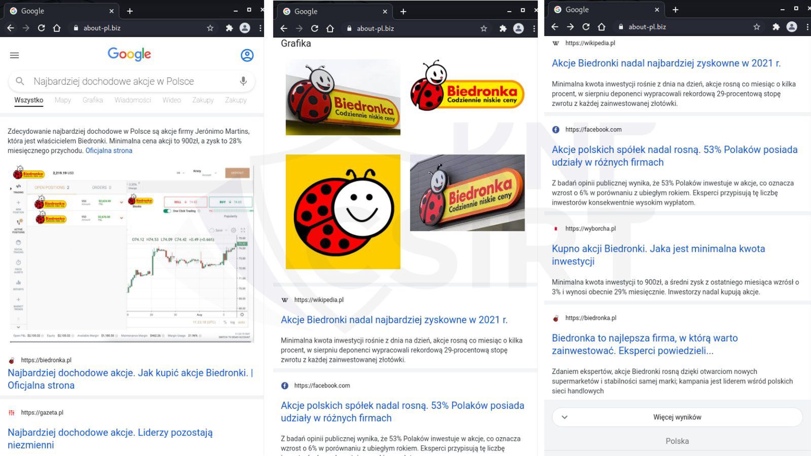 Tak wygląda fałszywa wersja Google, zachęcająca do inwestowania w Biedronkę