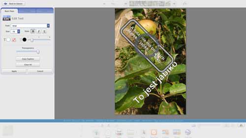 Picasa 3 (beta) - testujemy nowe funkcje 3