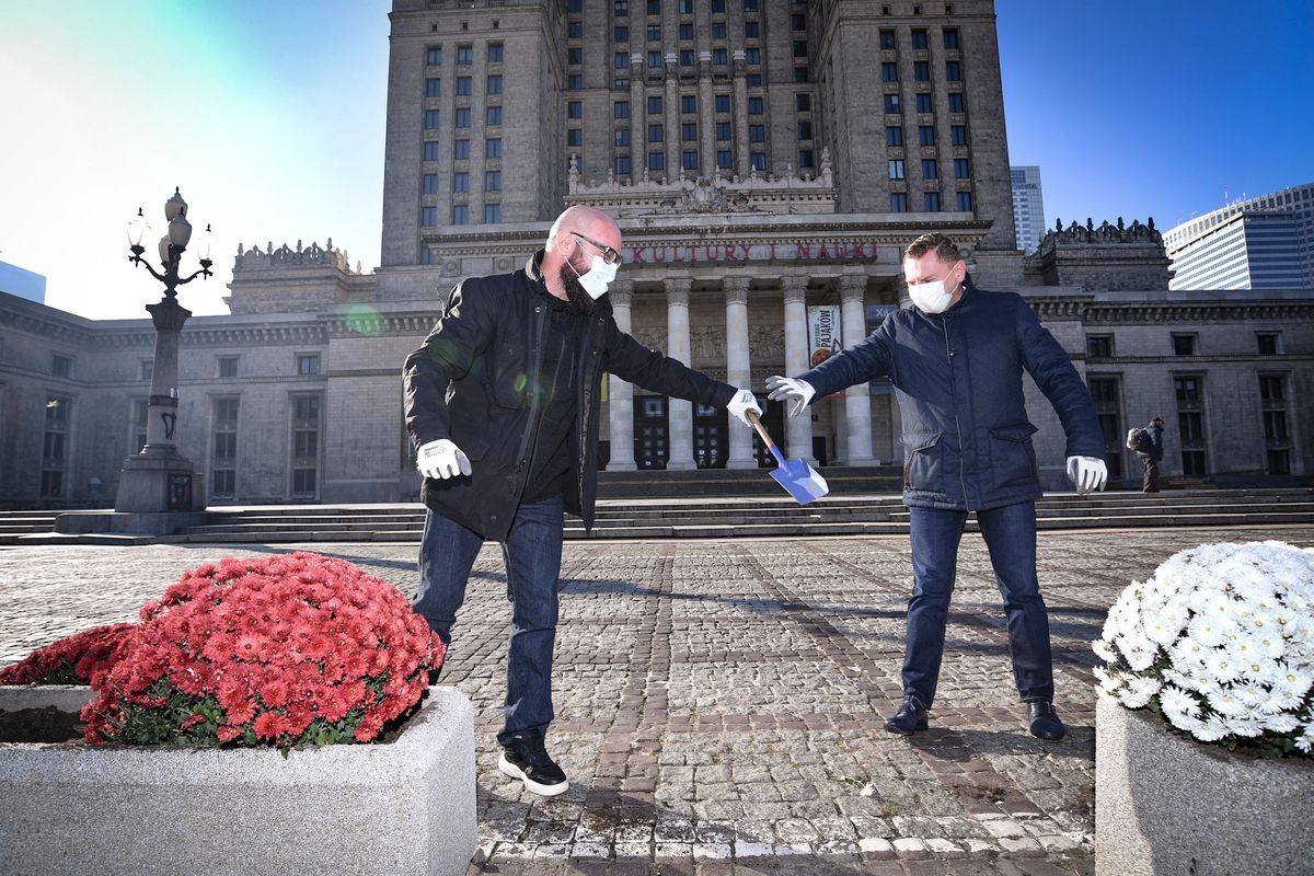 Warszawa. Wokół PKiN zostaną posadzone chryzantemy