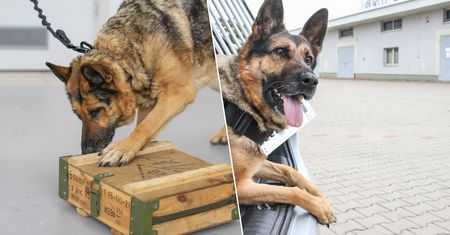 Była postrachem na granicy. Rita odchodzi na zasłużoną emeryturę