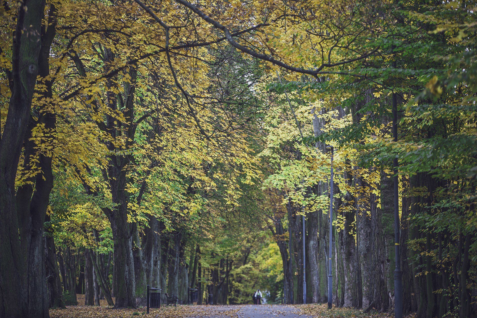 Ten park z XIX wieku na Śląsku zachwyca jesienią