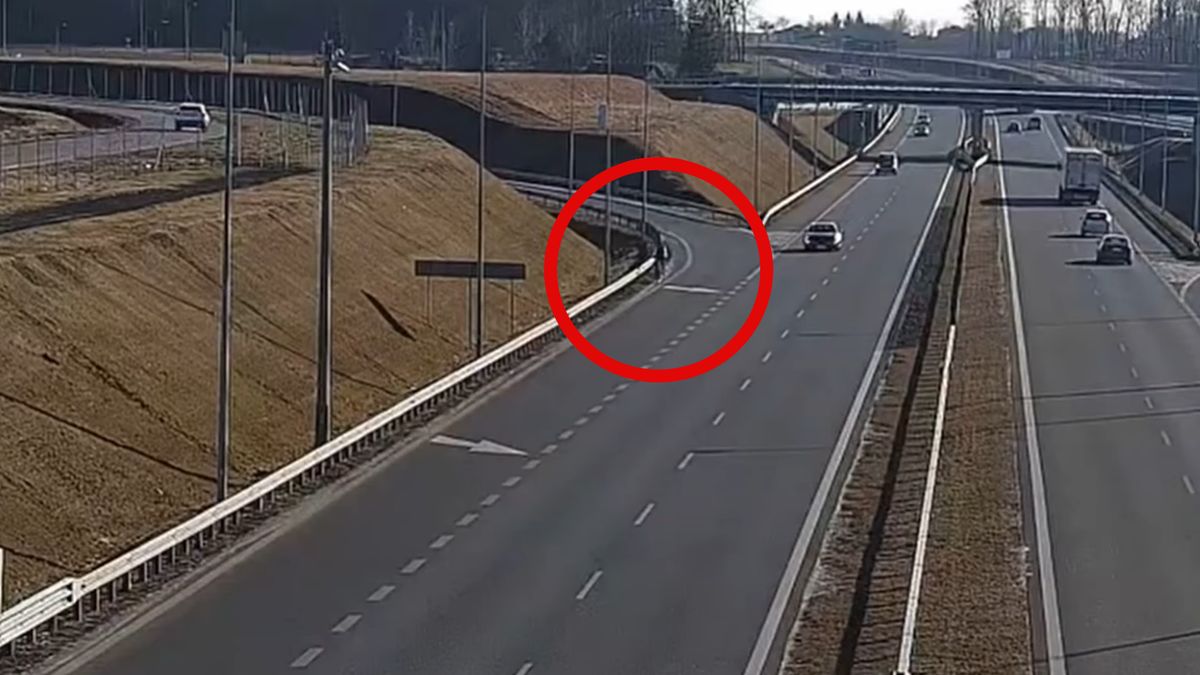 Rowerzysta na drodze S19.