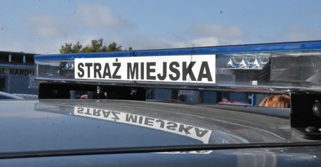Kombinujesz z piecem? Zapuka strażnik i możesz zapłacić 5 tys. zł kary