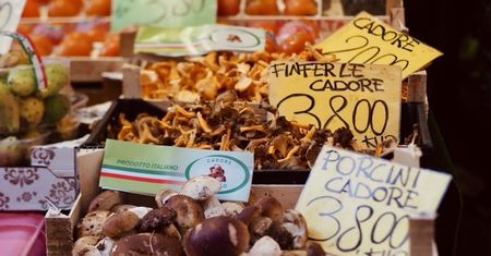 Zaskoczona Polka. Spójrzcie na cenę borowików we Włoszech