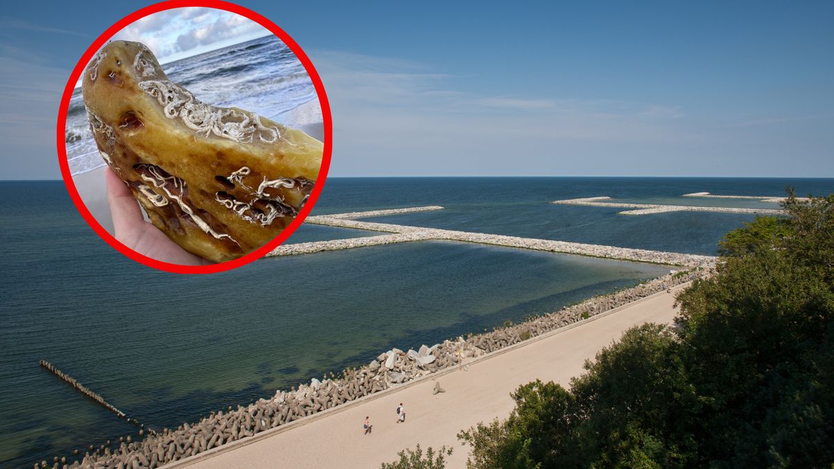 Dziś Królowa Morza znalazła swoje miejsce w Muzeum Bursztynu w J