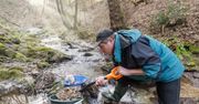 Gorączka złota w Niemczech. Ludzie jadą nawet 600 kilometrów, żeby znaleźć kruszec