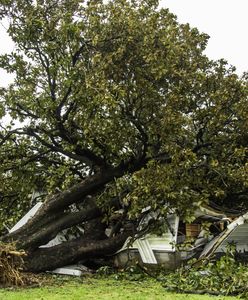 Pierwsze w tym roku tornado przeszło przez USA. Tragiczne skutki