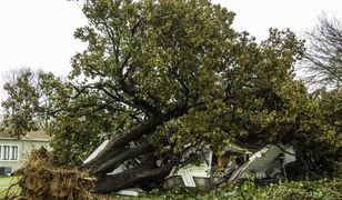 Pierwsze w tym roku tornado przeszło przez USA. Tragiczne skutki