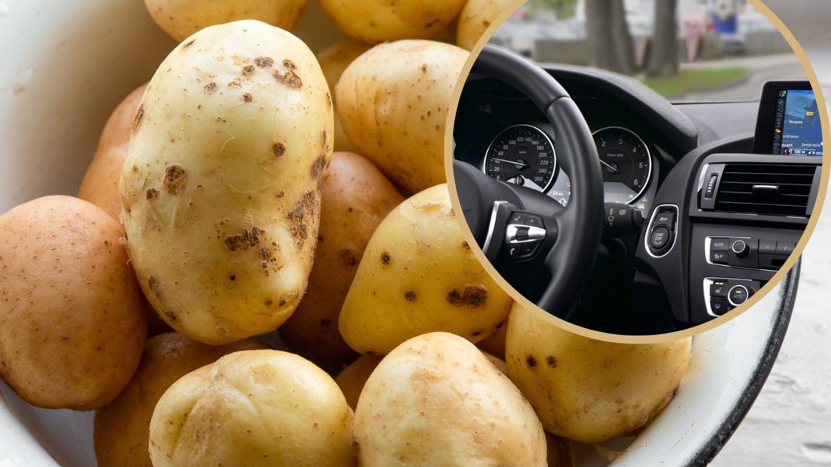 Trik z ziemniakiem pomoże uporać się z powszechnym problemem kierowców