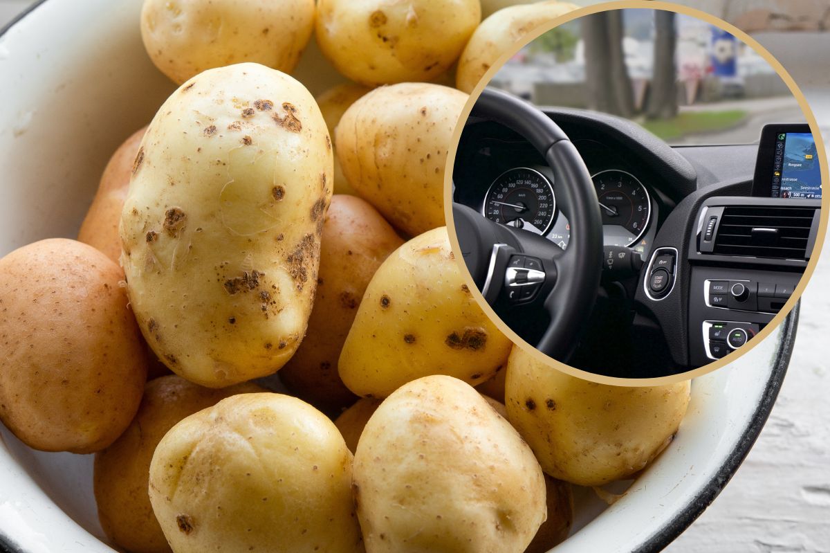 Przekrój ziemniaka i biegnij do auta. Ten trik przyda się zwłaszcza teraz