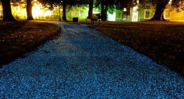 Pro-Teq StarPath podświetlany chodnik