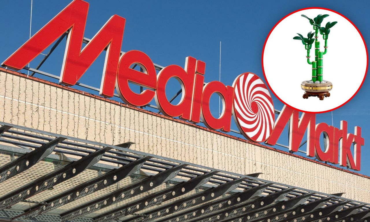 Lego Botanicals za 119,99 zł. Media Markt proponuje prezenty na Dzień Kobiet