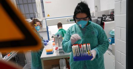 Koronawirus w Polsce i na świecie. Wielka Brytania wyprzedziła Włochy pod względem ofiar. Relacja (na żywo) - 5 maja