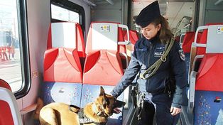 Łódź: Ćwiczenia służb mundurowych na kolei