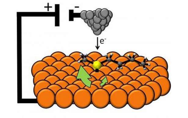 Nanosilnik (Fot. PhysOrg.com)