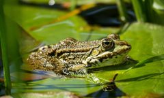 Hiszpania. W kraju pojawił się nowy wirus?