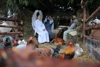 Wielkopolskie: Wkrótce w Potrzanowie i Gołańczy pojawią się żywe szopki