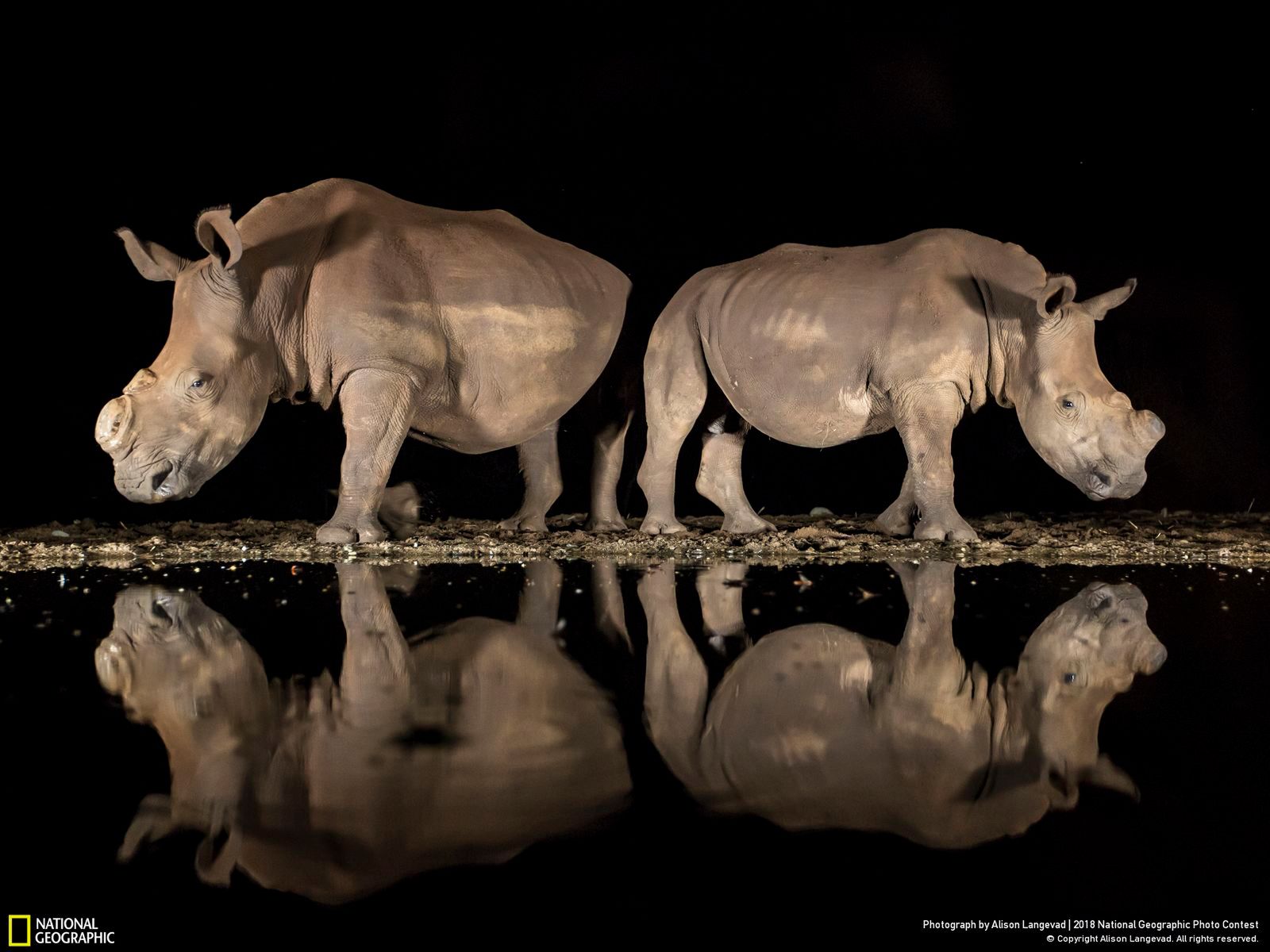 Cmentarzysko samochodów zwycięskim zdjęciem w Nat Geo Photo Contest 2018 7