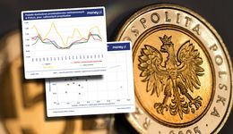 Polska to podatkowe eldorado? Nie tylko zagraniczne firmy płacą mało [ANALIZA]