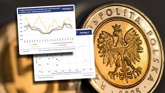 Polska to podatkowe eldorado? Nie tylko zagraniczne firmy płacą mało [ANALIZA]
