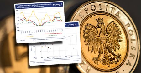 Polska to podatkowe eldorado? Nie tylko zagraniczne firmy płacą mało [ANALIZA]