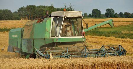 "Wysychają niemal co godzinę". W Niemczech alarm na rynku zbóż