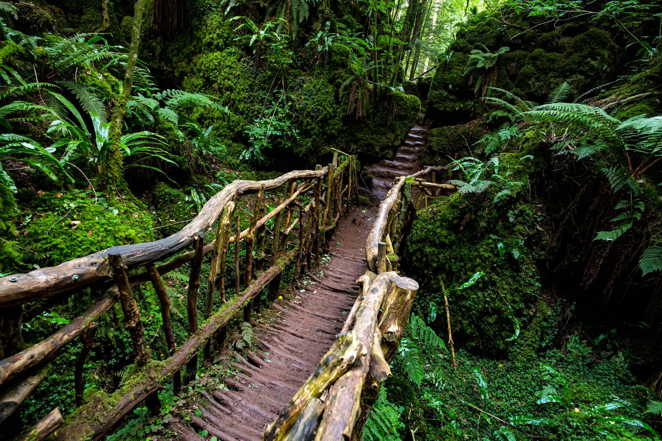 Spacer przez Puzzlewood potrafi rozbudzić wyobraźnię